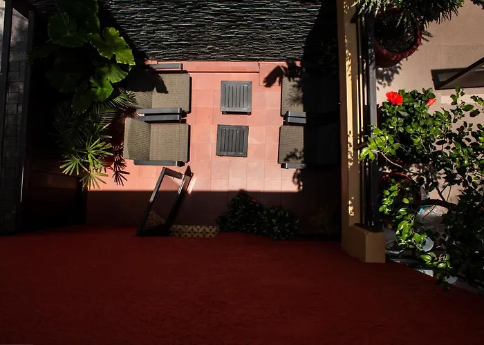 Bed and Breakfast The Red Tree House México DF