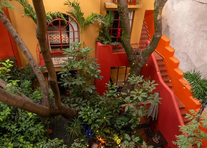 Bed and Breakfast The Red Tree House México DF